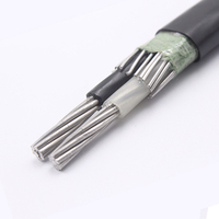 Câble aérien en aluminium avec conducteur neutre concentrique : Tailles 2*2+2awg et 2*4+4awg