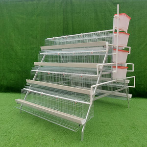 Cage de batterie Couche Oeuf de poulet cages de Type a pour couches Ferme avicole de couche automatique 96/120/128/160 Capacité Cage de ponte d'oiseaux - Product Image 2