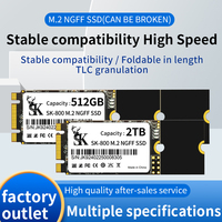 Pour SSD interne M.2 NGFF 500 Go-750 Go, cache 8 Mo, 5400 tr/min, 6 Gb/s SATA, neuf avec emballage pour PC/NB, transmission efficace