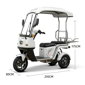 <span class=keywords><strong>Tricycle</strong></span> électrique compact à trois roues, carrosserie ouverte, 2 places - Product Image 1
