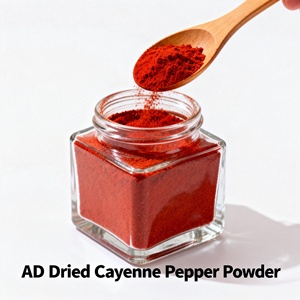 Peperoncino Cayenne in Polvere ad Alta Concentrazione (SHU) per Ingrosso e Rivendita con Etichetta Privata - Product Image 4