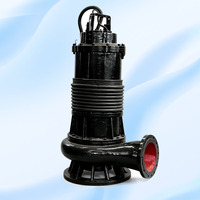 Pompa Air Limbah Submersible Besi 1.5 HP OEM yang Dapat Disesuaikan, Impeller Baja Tahan Karat 316, Tekanan Tinggi, Desain Anti-Sumbat, untuk Basement WQ