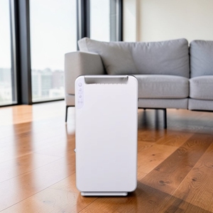 เครื่องลดความชื้นในอากาศ DDS ISO 9001 สำหรับห้องนอน ถังน้ำ 2 ลิตร ฟังก์ชั่นตั้งเวลา ทำงานเงียบ ผลิตจากพลาสติก ABS รับผลิตแบบ OEM/ODM - Product Image 1