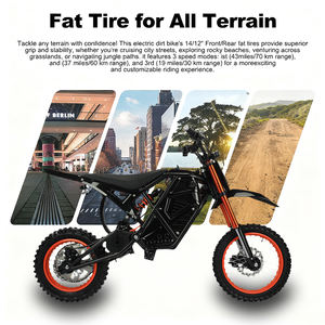 Motocyclette électrique de course tout terrain aux États-Unis, entraînement par chaîne, moto à moteur électrique de 1500 à 3000W, moto à suspension complète, en stock - Product Image 4