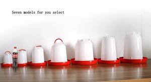 Mangiatoie e Abbeveratoi <span class=keywords><strong>in</strong></span> <span class=keywords><strong>Plastica</strong></span> per Pollame di Qingdao <span class=keywords><strong>in</strong></span> Bianco e Rosso, Vendita all'Ingrosso - Product Image 4