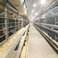 Cage automatique de type H pour élevage de poulets de grande capacité, économique, pour système en batterie, galvanisation à chaud, garantie 1 an, cages pour animaux