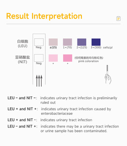 Tiras Reactivas para Infecciones del Tracto Urinario LEU NIT 2 <span class=keywords><strong>en</strong></span> 1, Prueba de Detección de ITU <span class=keywords><strong>en</strong></span> <span class=keywords><strong>Casa</strong></span> - Product Image 2
