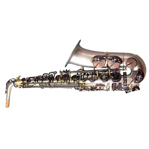 Saxophone alto professionnel en nickel argenté laqué or, instrument en laiton avec étui rigide et embouchure - Product Image 1