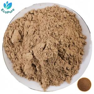 Pó de Semente de Cuscuta <span class=keywords><strong>Chinensis</strong></span> Natural, Pó de Semente de Dodder Cru, Grau Alimentício - Product Image 1