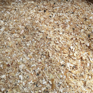 TOP VENTES POUDRE DE COQUILLE DE CREVETTES QUALITÉ SUPÉRIEURE EN VRAC FOURNITURE EN GROS PRODUITS DE FRUITS DE MER NATURELS EXPORTATION HOT DEAL MEILLEURE OFFRE PROMOTION - Product Image 1