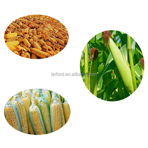 Cosechadora de Maíz Dulce Personalizada de Alta Calidad para Mayoristas - Product Image 3