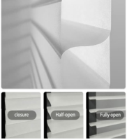 Stores Shangrila motorisés personnalisés à double couche filtrant la lumière pour fenêtres avec système de maison intelligente Lutron