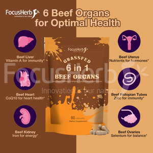 Complément Alimentaire FocusHerb Adapté aux Femmes 6 en 1 Capsules Mixtes d'Organs de Bœuf Nourri à l'Herbe - Product Image 4