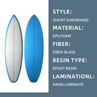 Vente en gros d'usine OEM de planches de surf |   Planche de surf courte 6'6" 46L en fibre de verre époxy, personnalisée, standard EPS, pour les vagues