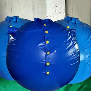 2024 vendita calda di alta qualità pvc gonfiabile palla tuta gonfiabile mirtillo palla vestito per il divertimento - Product Image 1