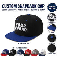 Casquette Snapback Hip-Hop Premium à Visière Plate, Bicolore Tendance, Broderie 3D en Relief Personnalisée OEM ODM, Couleurs Pantone Assorties