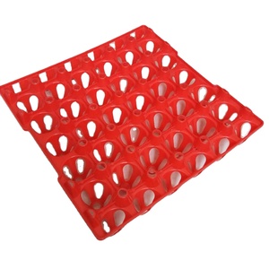 plastic chicken and quail egg tray poultry farming equipment PH-136