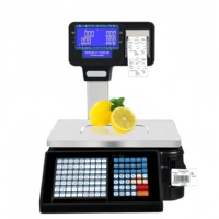 Balance électronique de plateforme 30 kg avec imprimante de reçus et automatisation PLC – Offre Spéciale – Garantie 1 an