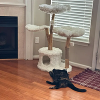 Arbre à chat multi-niveaux moderne et écologique, tour de griffoir en bois avec peluche premium, décoration de Noël pour la maison