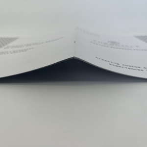 La mejor calidad de venta Sillín para el álbum de fotos Catálogo de Libros Personalizados Impresión de folletos - Product Image 1