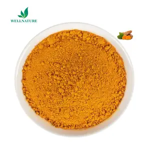 姜黄素植物提取物姜黄根提取物粉末姜黄素95% 有机姜黄粉