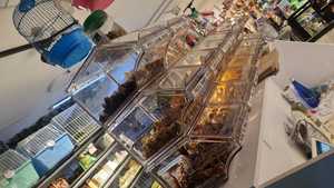 Ecobox kẹo Thùng Snack Giá hiển thị Kệ sô cô la số lượng lớn thực phẩm kẹo hiển thị giá hạt kẹo hiển thị Thùng đứng cho cửa hàng - Product Image 5