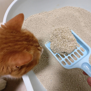 Chinesischer Lieferant Katzenstreu Bentonit Großhandel 5kg Schneller Versand Kugelförmiger Bentonit Schnell Klumpendes Katzenstreu - Product Image 2