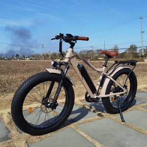 <span class=keywords><strong>Bicicleta</strong></span> <span class=keywords><strong>de</strong></span> <span class=keywords><strong>montaña</strong></span> eléctrica 26 "neumático gordo <span class=keywords><strong>bicicleta</strong></span> eléctrica motor <span class=keywords><strong>de</strong></span> cubo trasero 750W 48V <span class=keywords><strong>batería</strong></span> <span class=keywords><strong>de</strong></span> litio freno <span class=keywords><strong>de</strong></span> disco neumático gordo <span class=keywords><strong>bicicleta</strong></span> eléctrica - Product Image 5