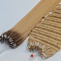 Ekstensi Rambut Bulu H6 Grosir Pabrik T4/24 Ombre Rambut Asli Virgin h Tips Ekstensi Rambut untuk Penjual Grosir Salon