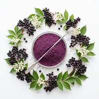 Poudre d'extrait naturel de sureau 15% 25% Anthocyanes Qualité alimentaire Certifié HPLC