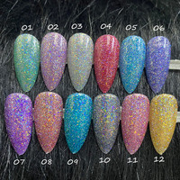 Vernis holographique en gel arc-en-ciel 1kg, 12 couleurs de vernis à ongles en gel réfléchissant, prix d'usine, art des ongles, gel uv, étiquette privée, flacon OEM