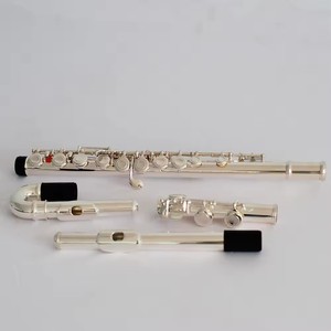 <span class=keywords><strong>Flauta</strong></span> Dulce Plateada de Fábrica, Instrumento de Concierto, <span class=keywords><strong>Flauta</strong></span> <span class=keywords><strong>Curva</strong></span> - Product Image 4