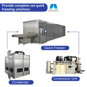مجمد نفق من الفولاذ المقاوم للصدأ ذو كفاءة صناعية ، مجمد IQF لأسماك/أسماك الروبيان/المأكولات البحرية مع قدرة تبريد معتمدة من CE - Product Image 3