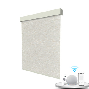 맞춤형 사이즈 100% 폴리에스터 전동 롤스크린 암막 블라인드, 자외선 차단 기능, 모던한 내장형 모터 옵션 - Product Image 3