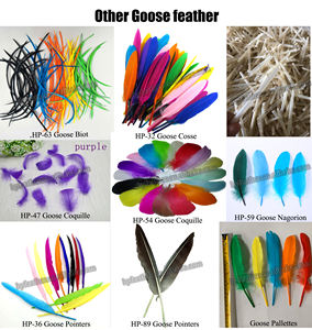 Prix de la plume de Nagorie d'oie teinte 5/9 pouces violet multicolore lavé 12 pouces plumes d'oie longues naturelles brutes pour l'artisanat naturel - Product Image 3