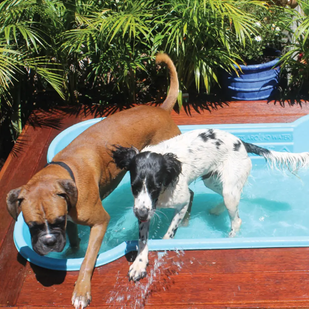 Özelleştirilmiş özel açık zemin büyük çerçeve yuvarlak fiberglas frp modüler katlanır split tip pet köpek yavru yüzme dalış havuzu