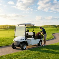 Voiturette de golf électrique Tarion Luxury White 2 places avec vitesse de 30-50 km/h pour le transport de bagages du personnel des hôtels de plage et les visites touristiques