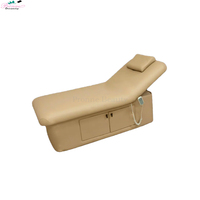Mobilier de salon de luxe lit de massage électrique du visage lit de beauté réglable à 2 moteurs à vendre