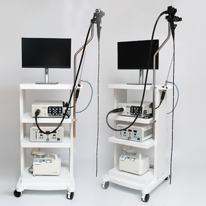 <span class=keywords><strong>Precio</strong></span> barato médico laparoscópico GASTROSCOPIO colonoscopio endoscopio endoscópico laparoscopia Flexible veterinario endoscopio Cámara - Product Image 2