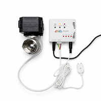 Système de détection de fuite d'eau avec vanne à bille motorisée, vanne de contrôle d'eau intelligente à fermeture automatique