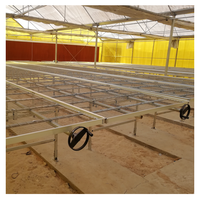 Table de culture à prix d'usine, grande taille, équipement agricole hydroponique pour serre, lit de culture mobile à roulettes pour fleurs et légumes