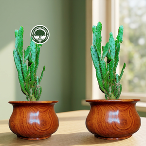 Pot de fleurs en bois sculpté à la main RIKSH, style rustique, conteneur écologique pour plantes, décoration intérieure - Product Image 3