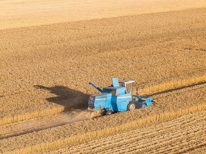 Macchina Agricola Cinese XC530-4 da 162HP, Raccoglitrice di Mais con Trasmissione a Ingranaggi, Alta Produttività per Aziende Agricole di Medie e Grandi Dimensioni - Product Image 5