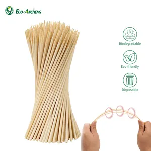 高品质竹串一次性烧烤棒圆形直食物串，适合家庭和派对