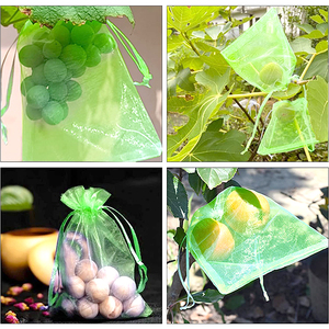 Agriculture Orchard <strong>mango</strong> Grape Vinetard Insect <strong>Net</strong> Bag/bag Anti Insect Mono Mesh Netting for Fruit Cover - Product Image 2