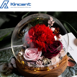 Clavel Eterno Natural, Rosa Inmortal, Decoraciones <span class=keywords><strong>de</strong></span> Flores Reales, Regalos, <span class=keywords><strong>Rosas</strong></span> Eternas para Cumpleaños, Día <span class=keywords><strong>DE</strong></span> LA Madre - Product Image 5