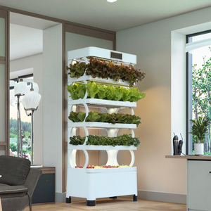 Sistema de jardinería hidropónica vertical para uso doméstico incluye bomba y equipo de irrigación ligero nuevo y usado - Product Image 2