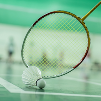 Volants de badminton en plumes de canard Victor Champion NO.1 approuvés BWF, poids 5g, lot de 12