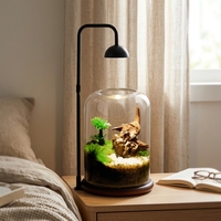 Kit Terrarium Plantes Paysage Personnalisé, Planteur, Plante à Air, Mousse, Globe, Vase Rectangle, Verre, Éclairage de Porte