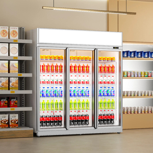 Refrigerador Vertical Personalizable de Bajo Consumo con Luz LED, Refrigerador de Una Puerta para Cantinas, Refrigerador de Exhibición C - Product Image 6